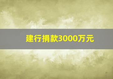 建行捐款3000万元