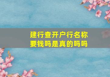 建行查开户行名称要钱吗是真的吗吗