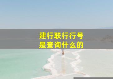 建行联行行号是查询什么的