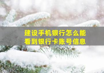 建设手机银行怎么能看到银行卡账号信息