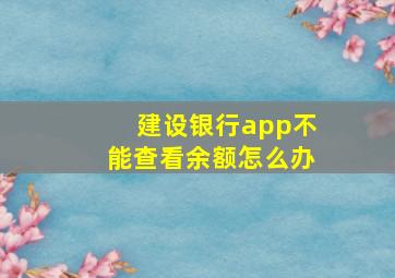 建设银行app不能查看余额怎么办