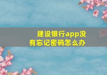 建设银行app没有忘记密码怎么办