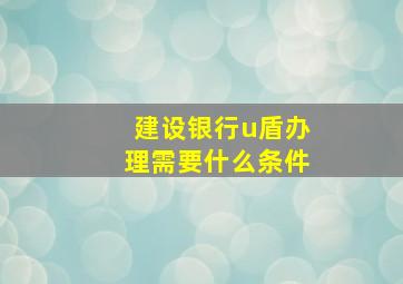 建设银行u盾办理需要什么条件