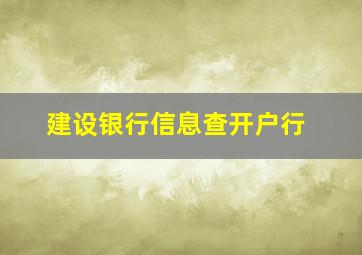 建设银行信息查开户行