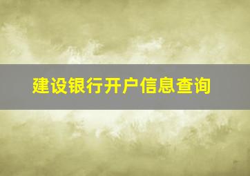 建设银行开户信息查询