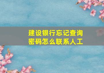 建设银行忘记查询密码怎么联系人工