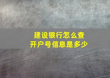 建设银行怎么查开户号信息是多少