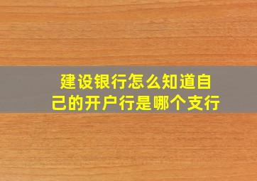 建设银行怎么知道自己的开户行是哪个支行