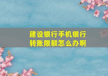 建设银行手机银行转账限额怎么办啊