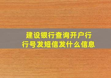 建设银行查询开户行行号发短信发什么信息