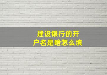 建设银行的开户名是啥怎么填