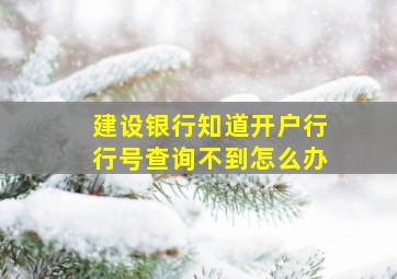 建设银行知道开户行行号查询不到怎么办