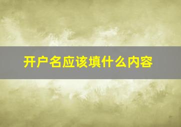 开户名应该填什么内容