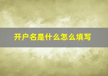 开户名是什么怎么填写