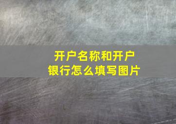 开户名称和开户银行怎么填写图片