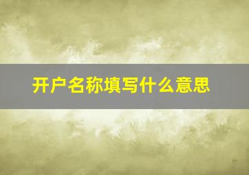 开户名称填写什么意思