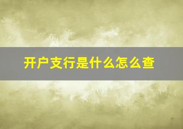 开户支行是什么怎么查