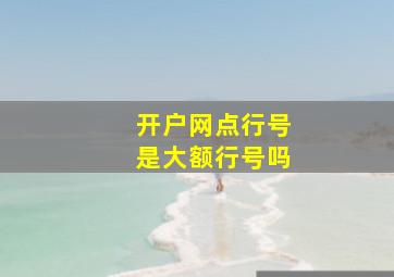 开户网点行号是大额行号吗