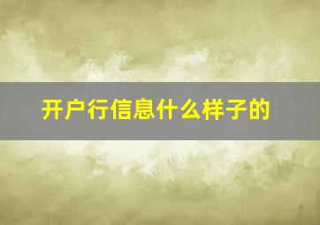 开户行信息什么样子的