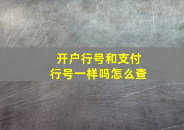 开户行号和支付行号一样吗怎么查