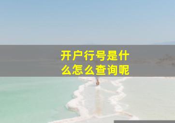 开户行号是什么怎么查询呢