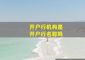 开户行机构是开户行名称吗