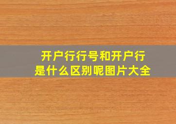 开户行行号和开户行是什么区别呢图片大全