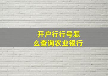 开户行行号怎么查询农业银行