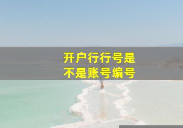 开户行行号是不是账号编号