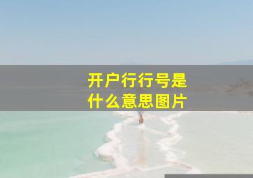 开户行行号是什么意思图片