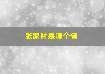 张家村是哪个省