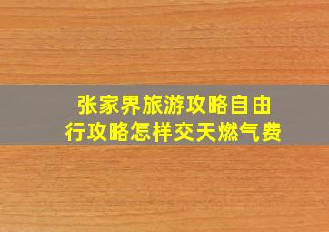 张家界旅游攻略自由行攻略怎样交天燃气费