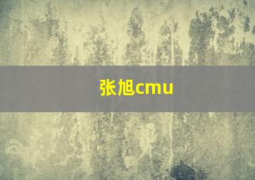 张旭cmu