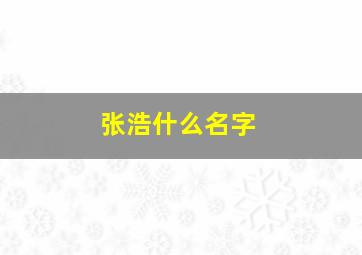 张浩什么名字