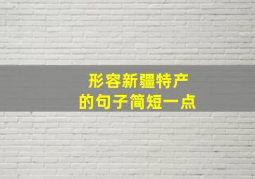 形容新疆特产的句子简短一点