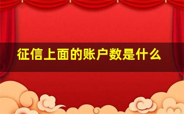 征信上面的账户数是什么