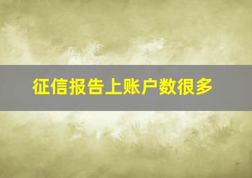 征信报告上账户数很多