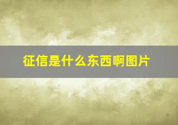 征信是什么东西啊图片