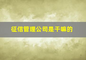 征信管理公司是干嘛的