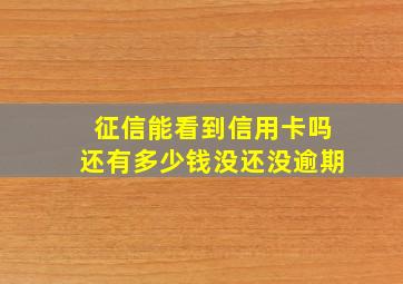 征信能看到信用卡吗还有多少钱没还没逾期