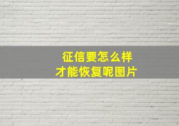 征信要怎么样才能恢复呢图片