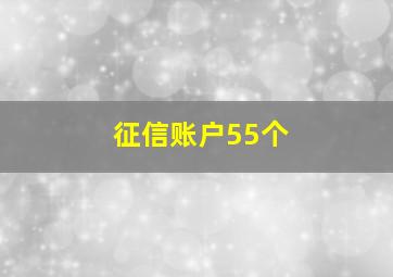 征信账户55个