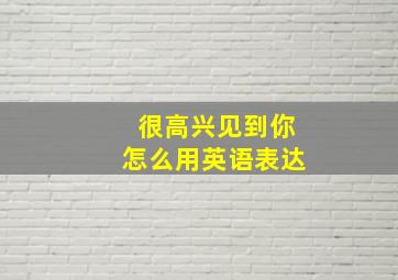 很高兴见到你怎么用英语表达