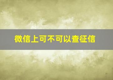 微信上可不可以查征信