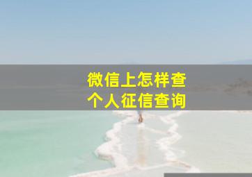 微信上怎样查个人征信查询