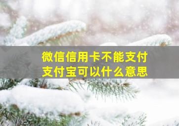 微信信用卡不能支付支付宝可以什么意思