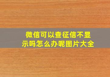 微信可以查征信不显示吗怎么办呢图片大全