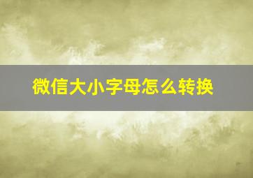 微信大小字母怎么转换