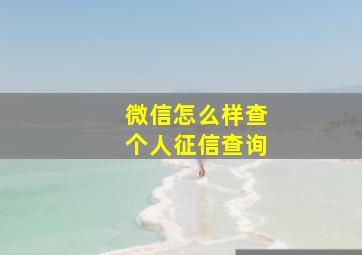 微信怎么样查个人征信查询