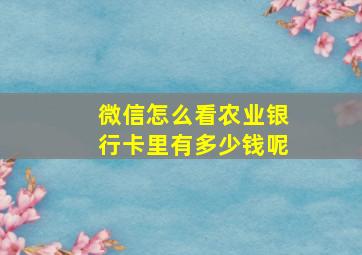 微信怎么看农业银行卡里有多少钱呢